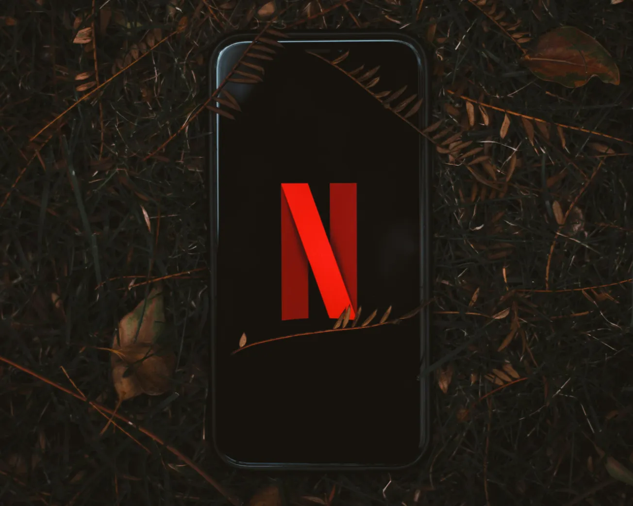 A smartphone with the red Netflix logo on a black screen is placed amidst dark grass and dry leaves, conveying a moody, autumnal atmosphere.