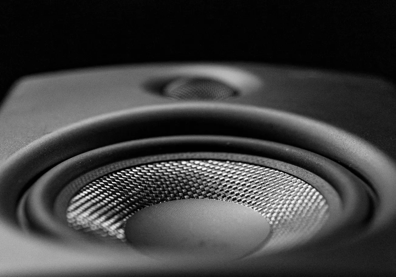 Close-up of a black speaker cone with textured mesh, surrounded by rings. The image is in black and white, creating a bold, dramatic tone.
