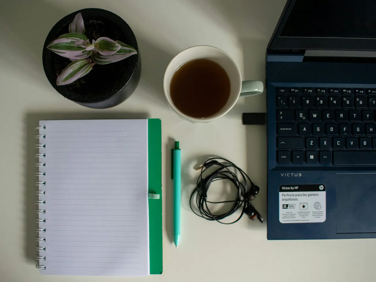A neat desk setup features a black potted plant, a cup of tea, a green pen, a notebook, tangled headphones, and a blue laptop, conveying an organized ambiance.
