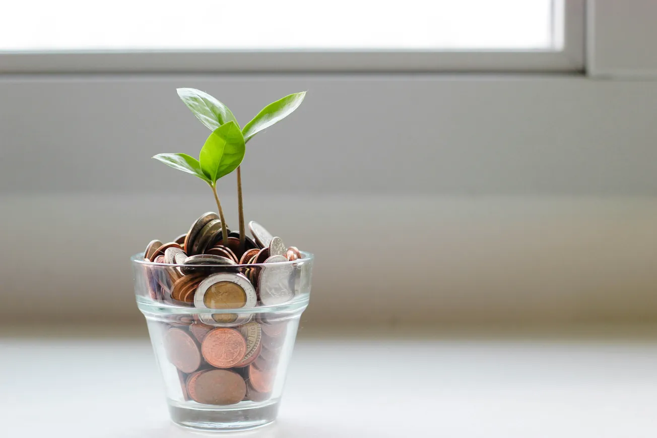 A small plant with green leaves grows from a glass filled with coins on a white windowsill, symbolizing financial growth and investment potential.