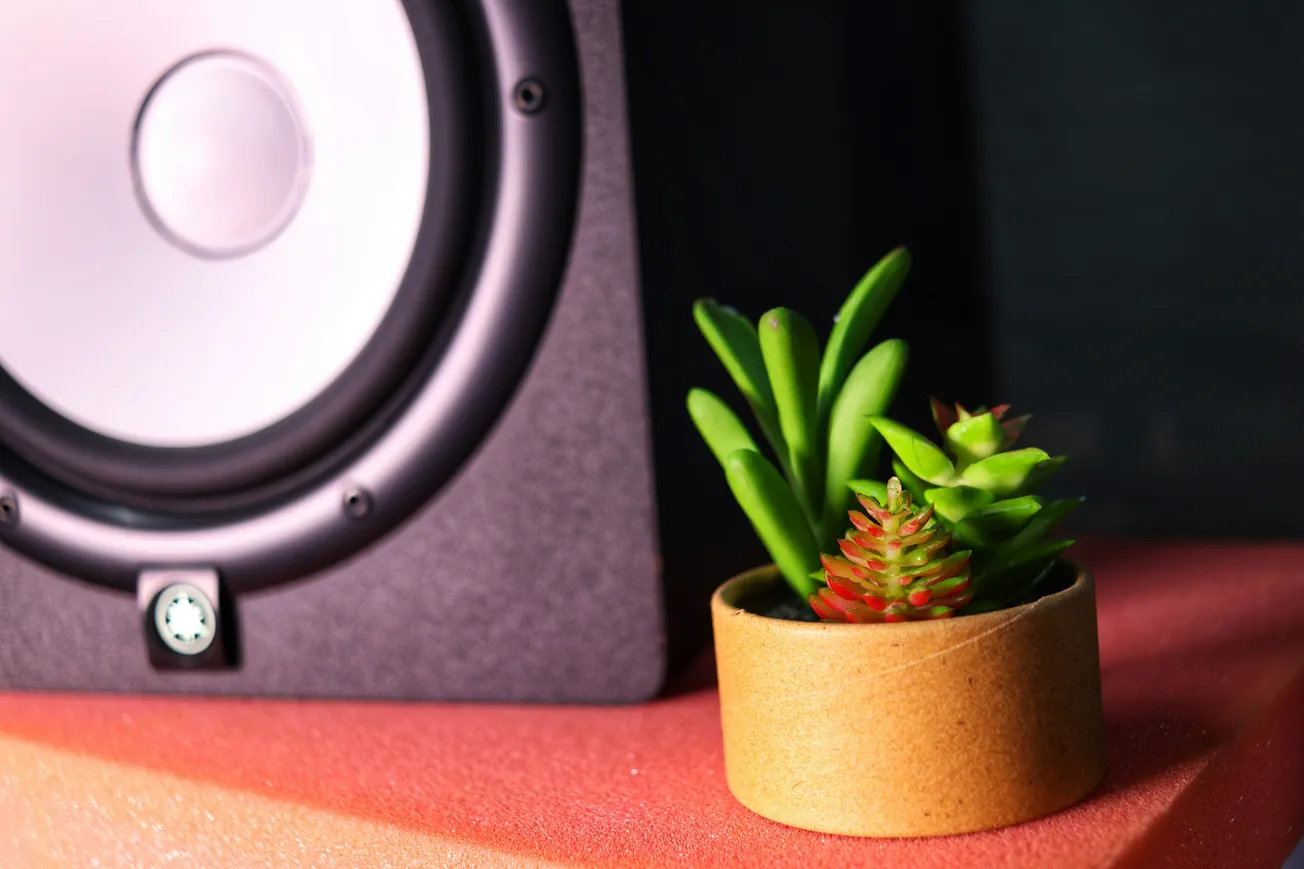A small potted succulent plant sits on a red surface in front of a professional black Yamaha studio monitor speaker.